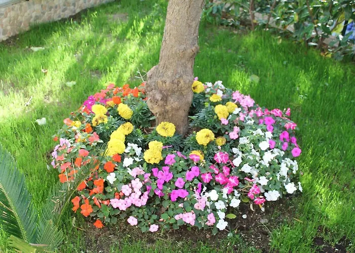 Vakantiehuis Il Cacciatore Sorrento