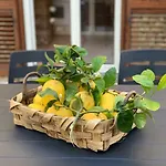 Il Cacciatore Будинок відпочинку Сорренто