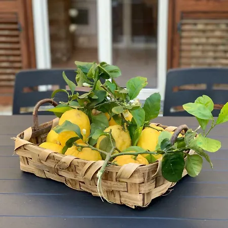 Il Cacciatore Tatil Evi Sorrento