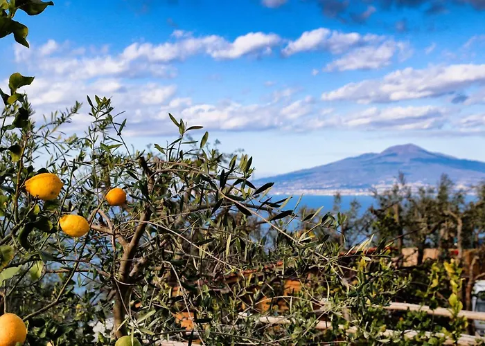 Il Cacciatore Holiday home