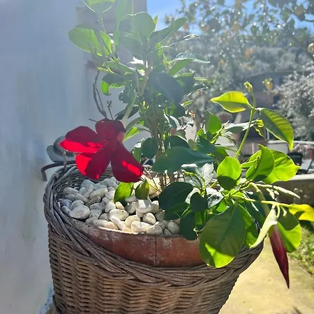 Il Cacciatore Ferienhaus