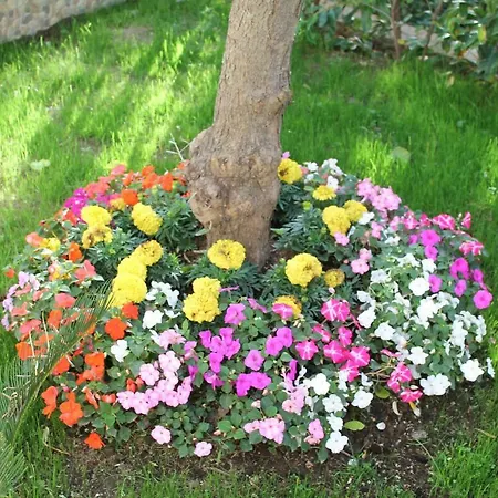 Ferienhaus Il Cacciatore Sorrent