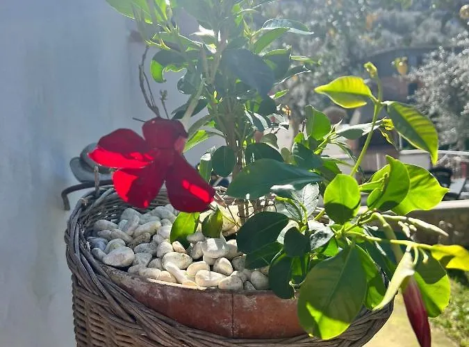 Il Cacciatore Holiday home